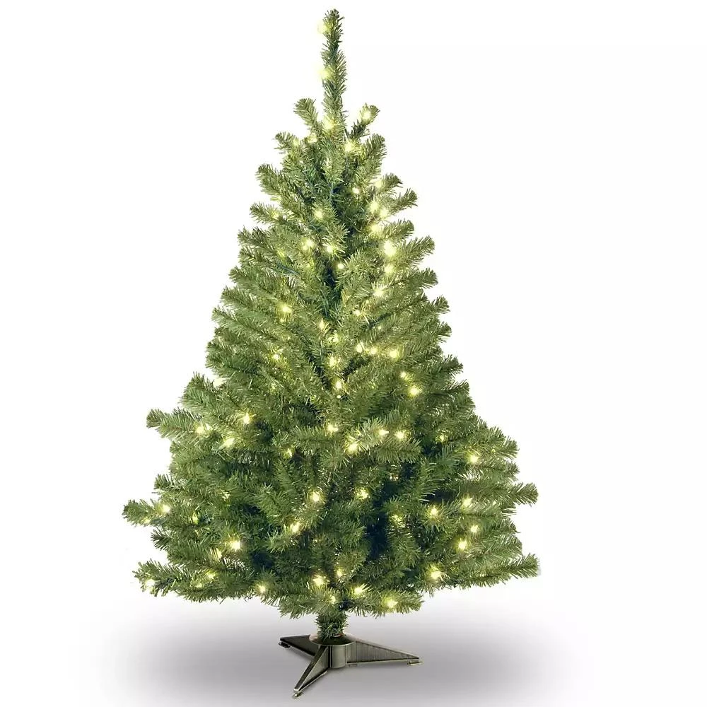 National Tree Company National Tree 4' Kincaid Spruce Tree w/100 Clear Lights 1