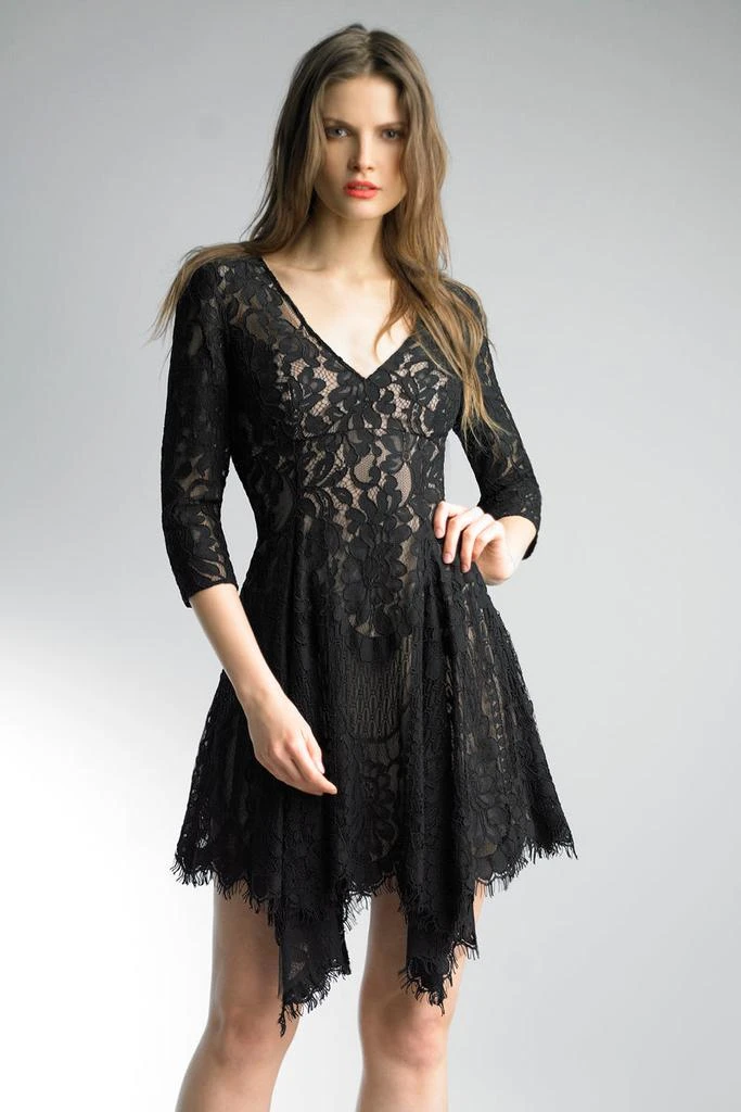 Basix Black Label Lace Cocktail Dress 1