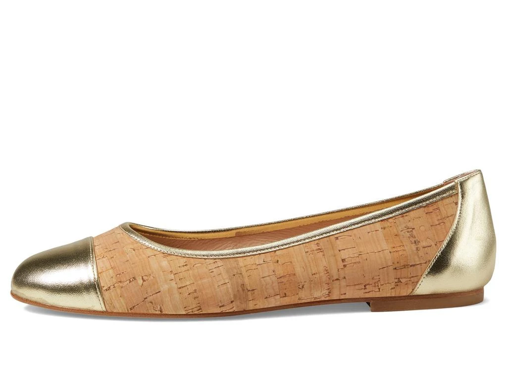 French Sole Venice 4