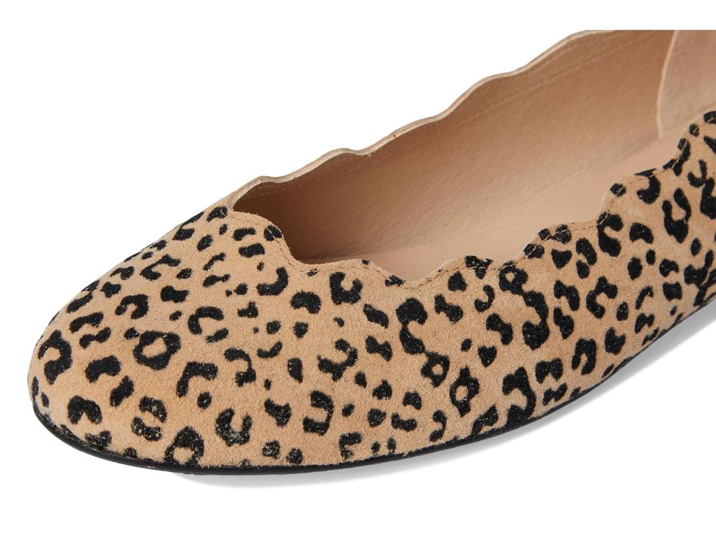 French Sole Jigsaw 6