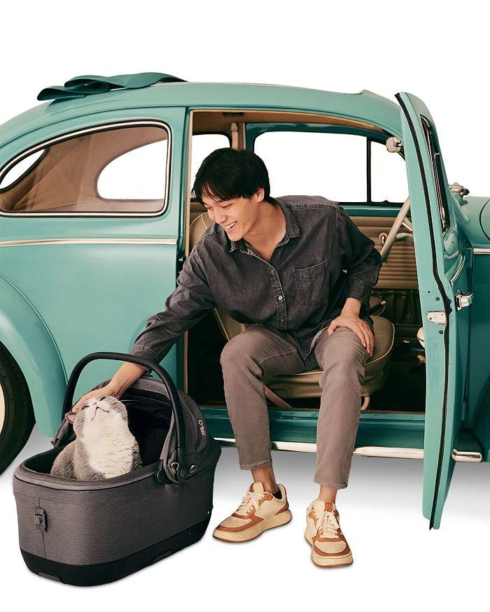 Tavo Maeve iso6X Wind Pet Car Seat 9