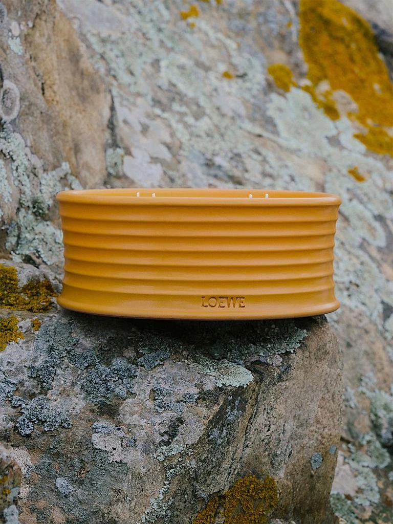 LOEWE Perfumes Ginger Outdoor Candle 4