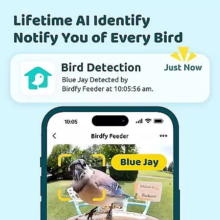 Birdfy Birdfy Smart Bird Feeder with Camera 3