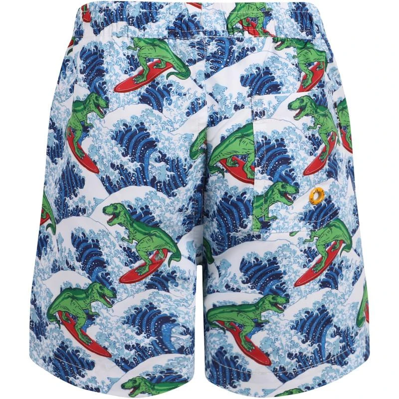 Rock Your Baby Dino surfer swimming shorts in blue 2
