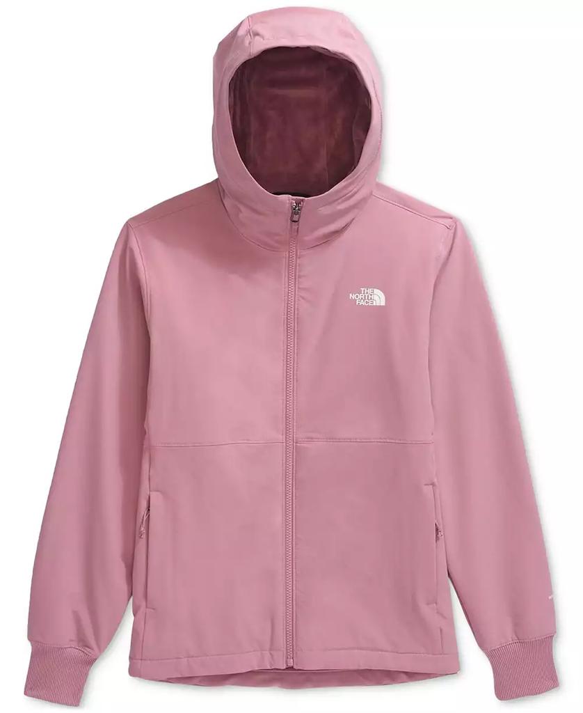 North face fleece lined hoodie best sale