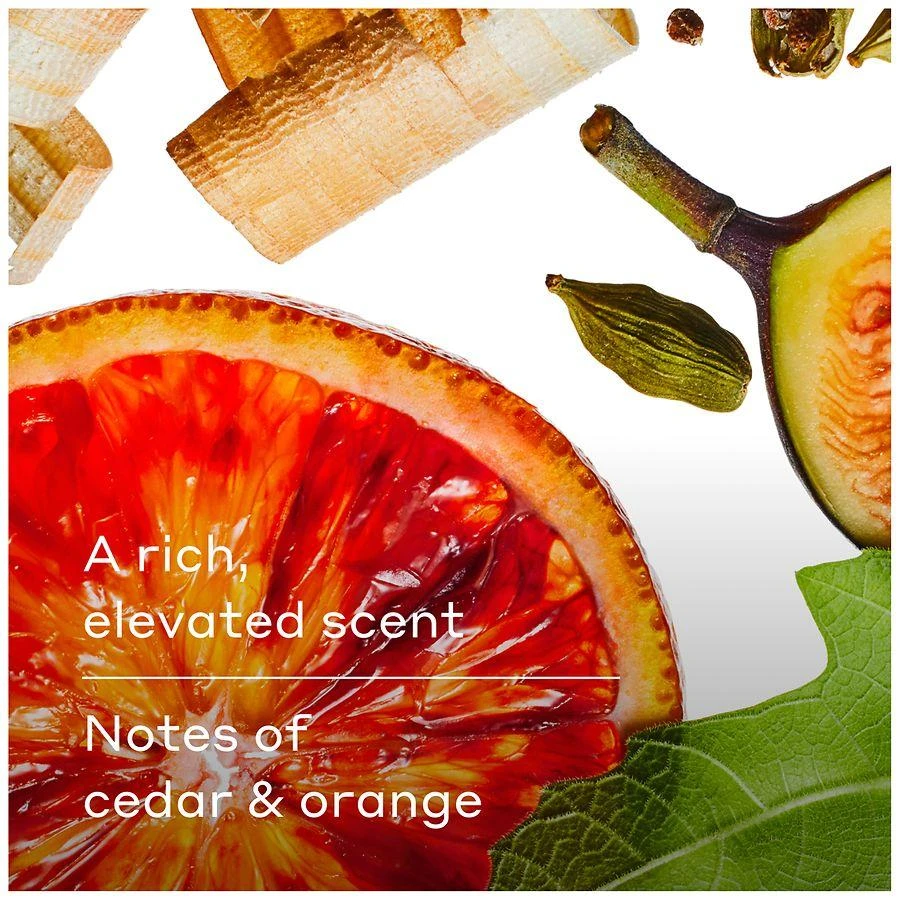 Harry's Body Wash Fig - Cedar & Orange 5