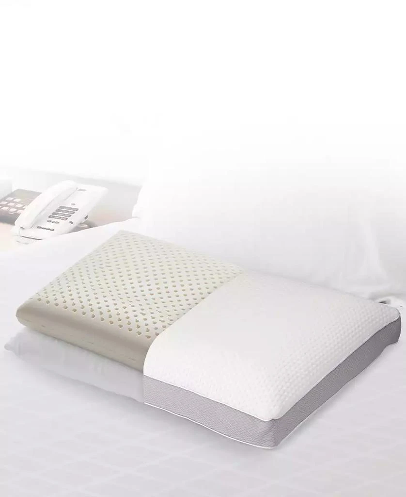 Cheer Collection Dual-Sided Latex Foam Pillow 6