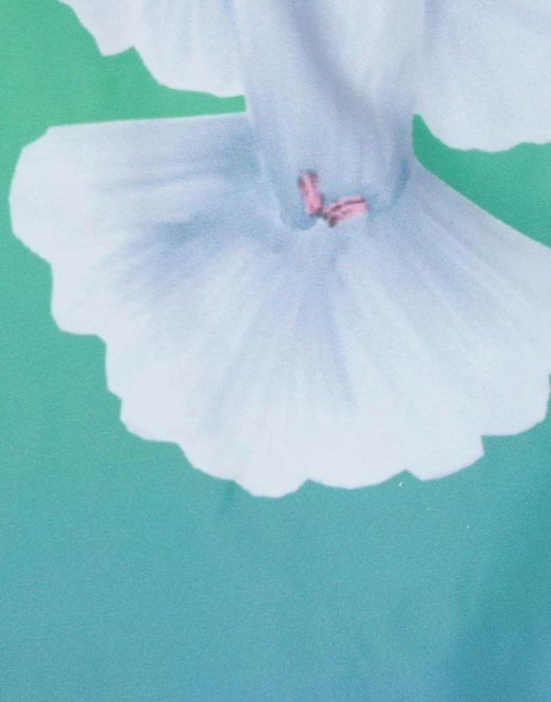 3.Paradis Shorts 
Bermuda 4