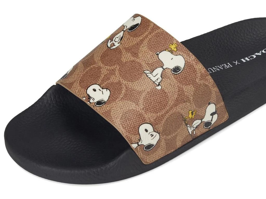 Coach Udele Peanuts Sport Slide 6