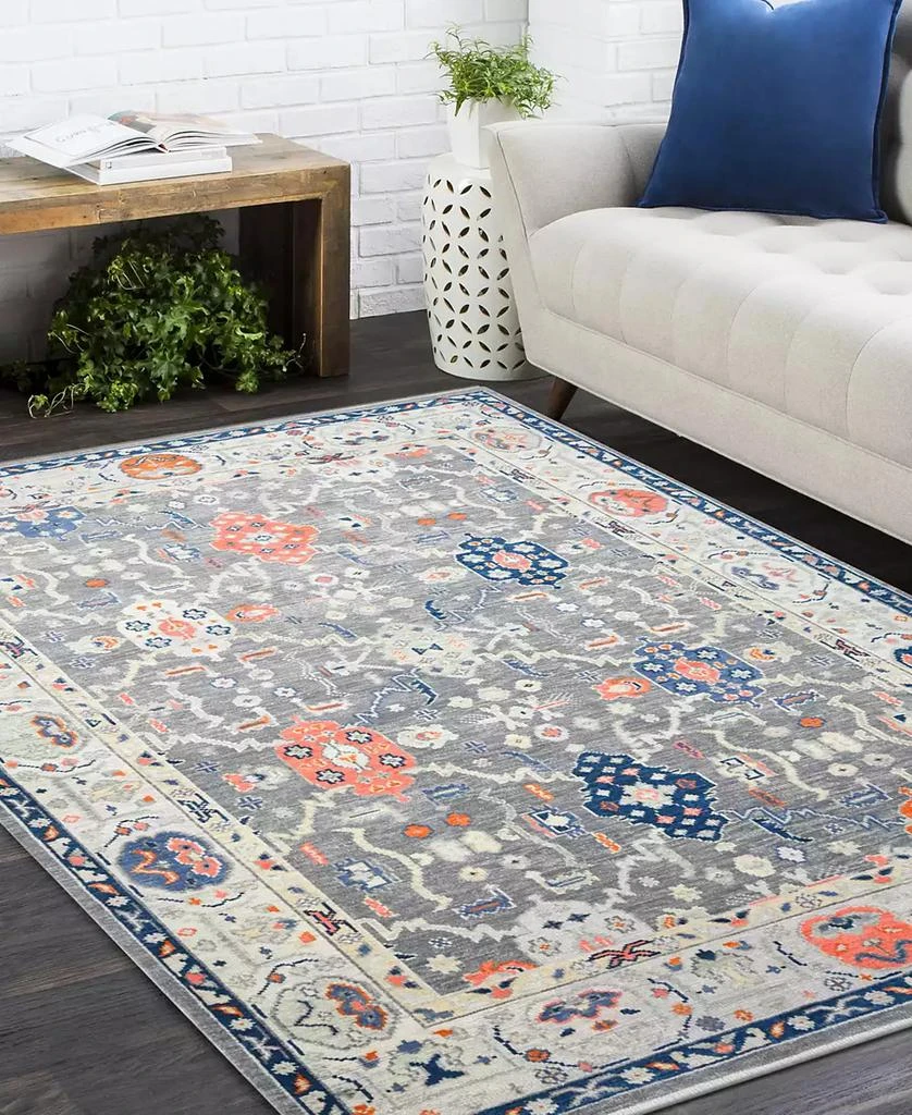 Timeless Rug Designs Hollis S3406 3'x5' Area Rug 2