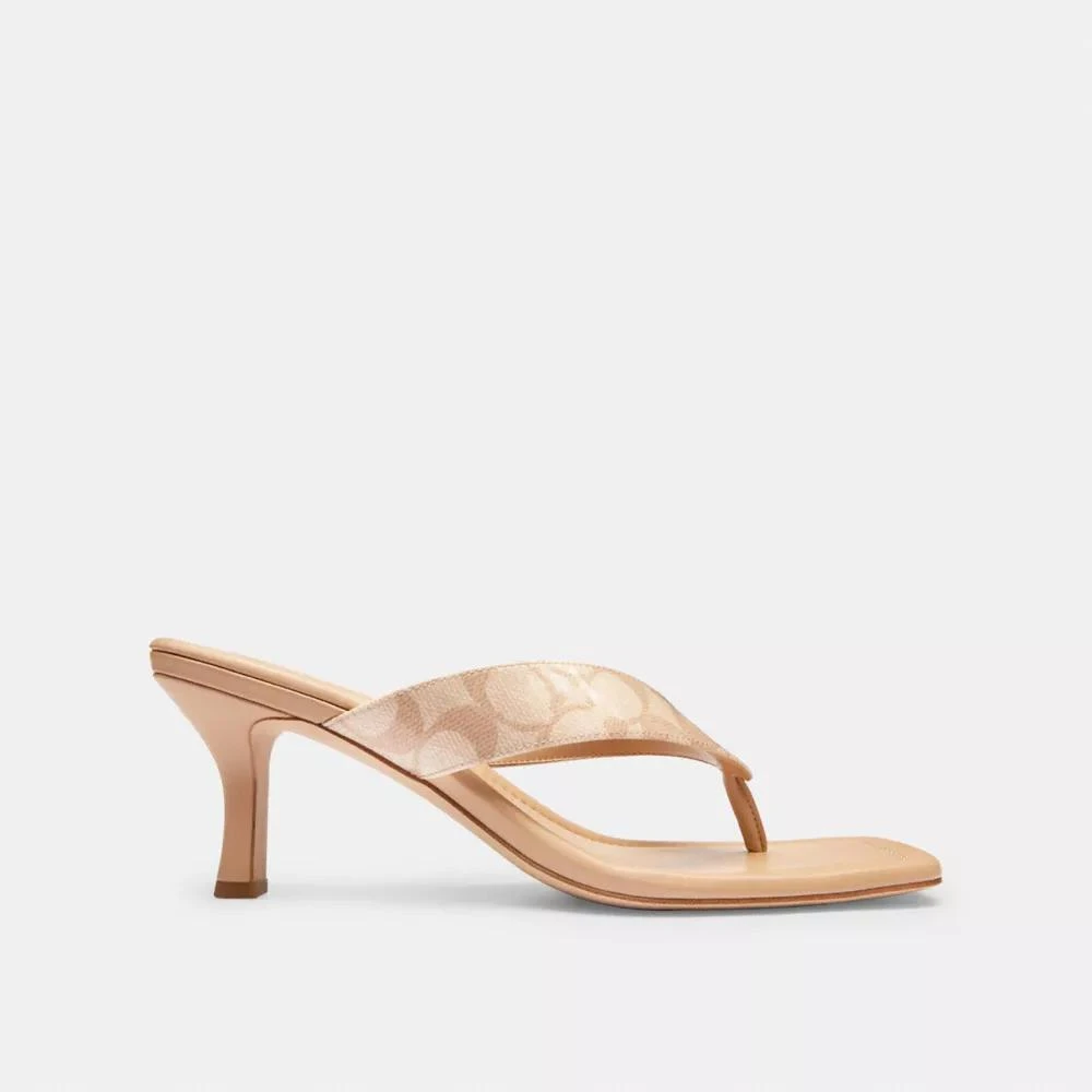 Coach Kitten Heel In Signature Canvas 1