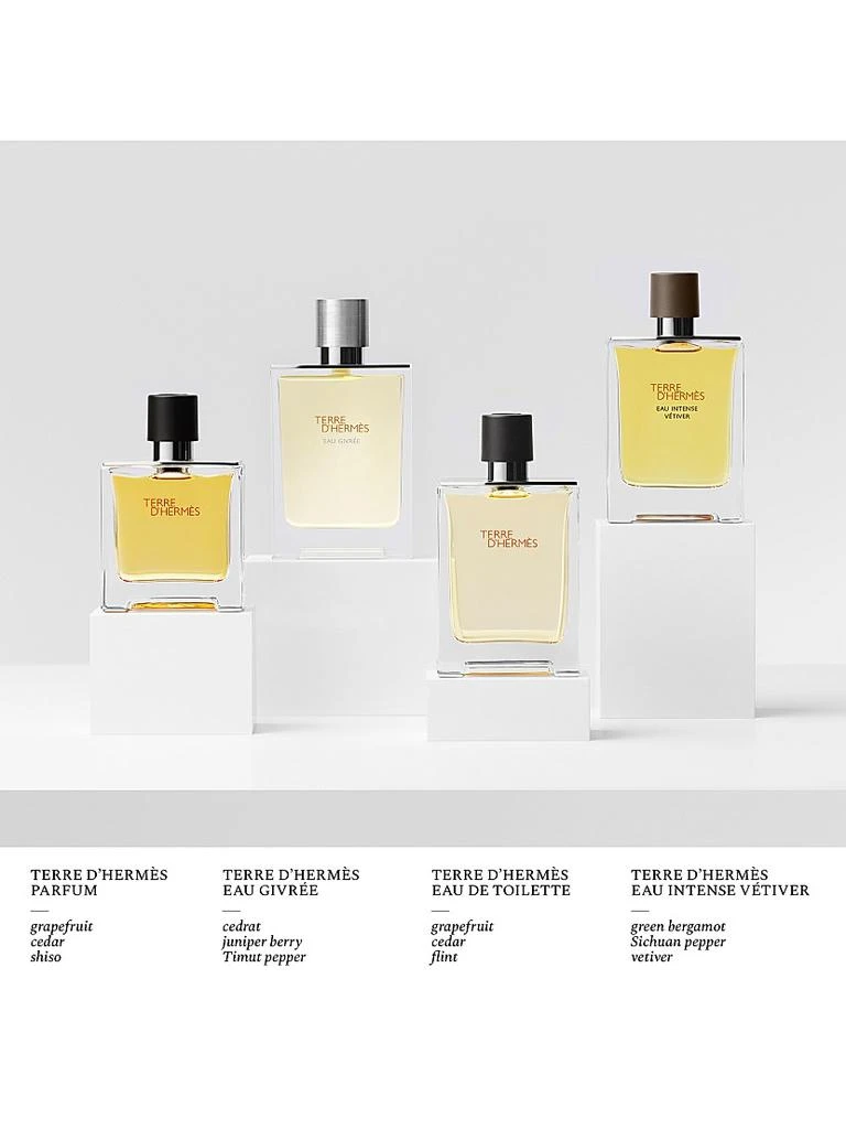 Hermes Terre d'Hermès Eau Givrée Eau de Parfum 2