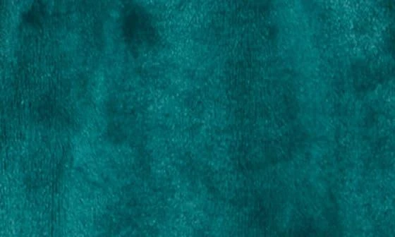 Nordstrom Bliss Plush Robe 5