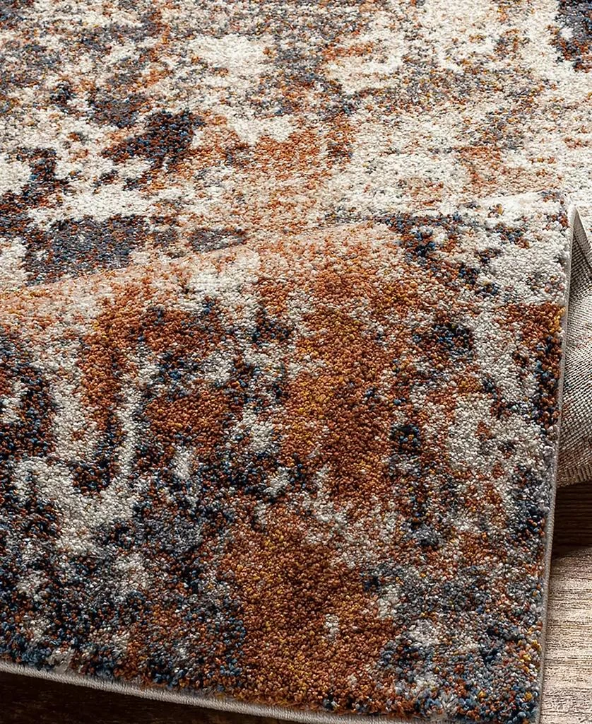 Surya Tuscany TUS-2328 4'3x5'7 Area Rug 2