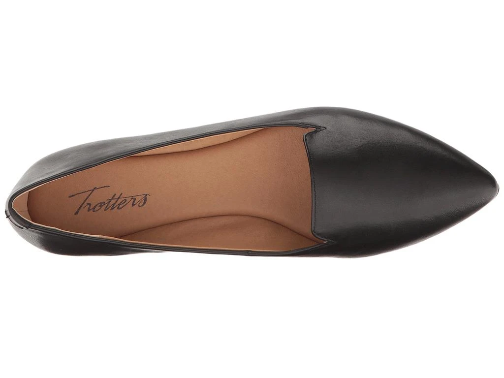 Trotters Harlowe 2