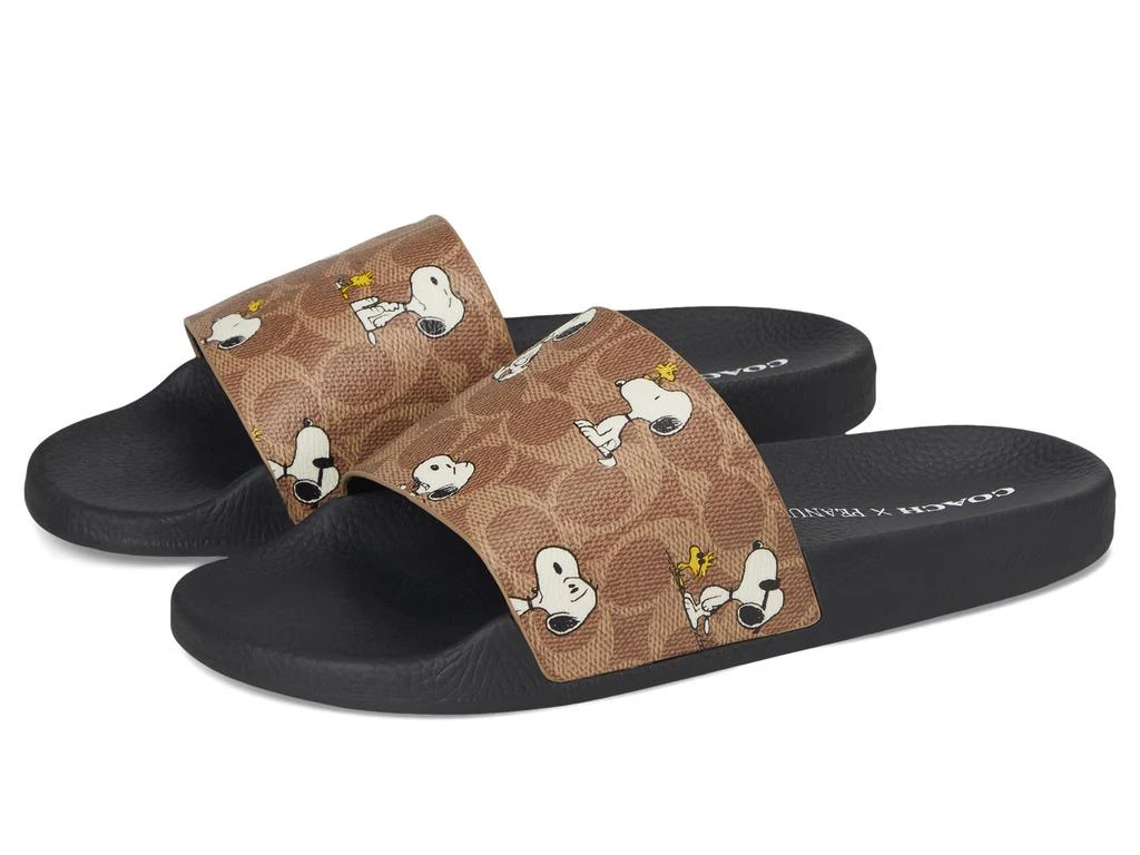 Coach Udele Peanuts Sport Slide 1