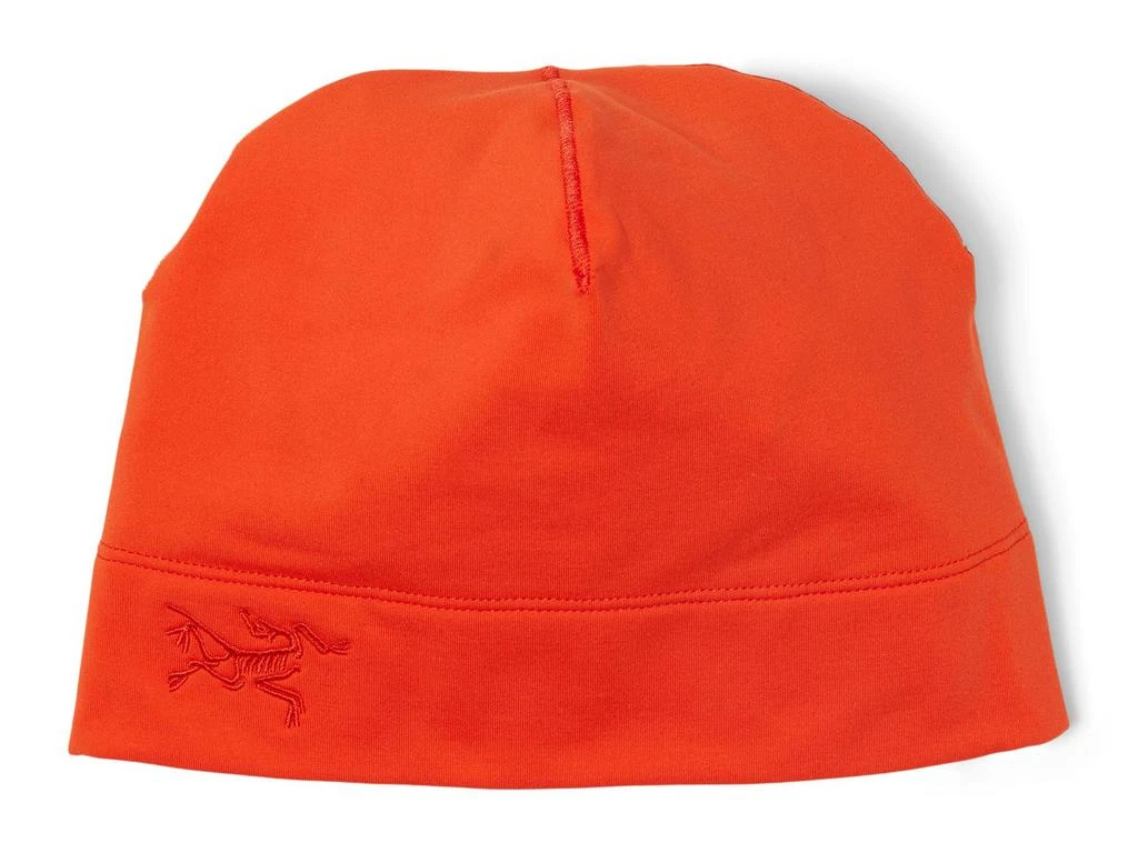 Arc'teryx Rho Toque 1