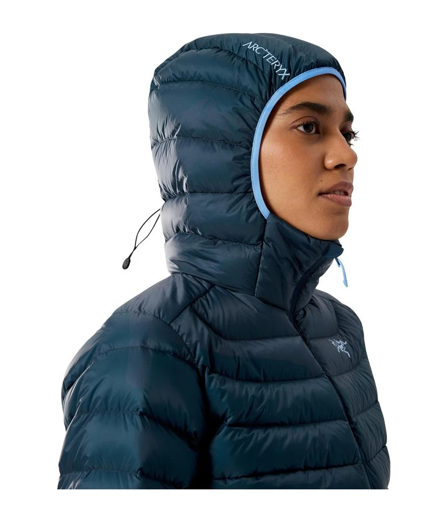 Arc
teryx Cerium Hoodie 3