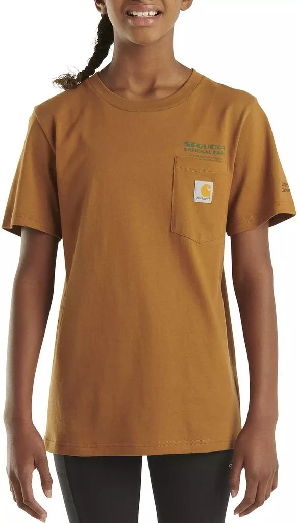 Carhartt Carhartt Boys' Sequoia National Park T-Shirt 4