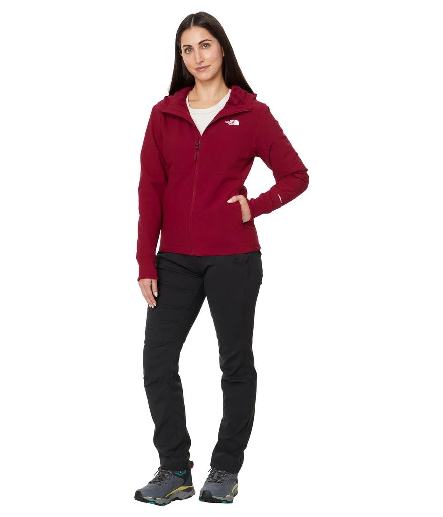 The North Face Shelbe Raschel Hoodie 4