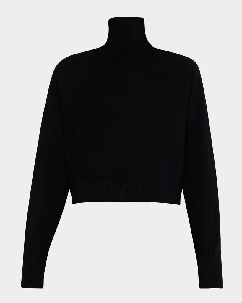 Sablyn Sable Cashmere Turtleneck Sweater 1