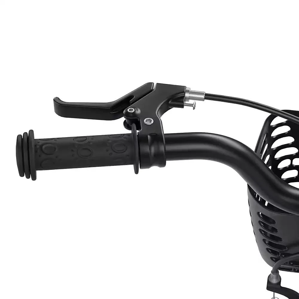 SUGIFT 18 Inch Kid
s Bike with Training Wheels and Coaster Brake 3