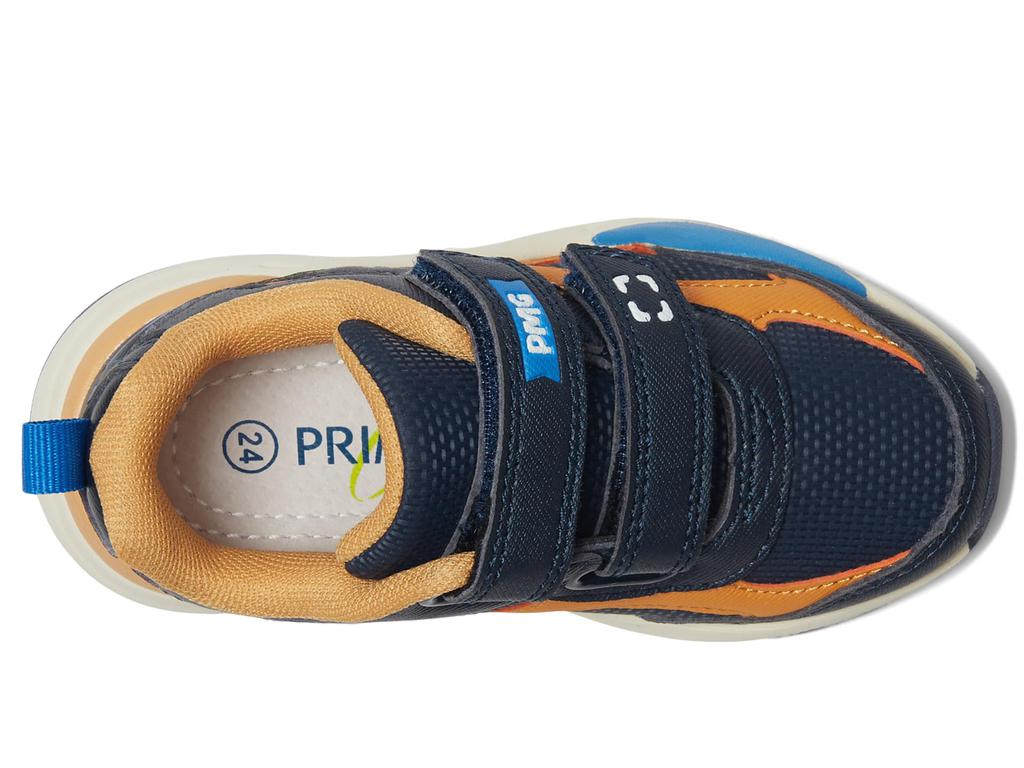 Primigi Kids PUP 69624 (Toddler/Little Kid)