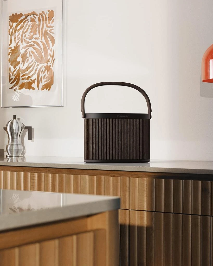 Bang & Olufsen Beosound A5 Portable Speaker 6