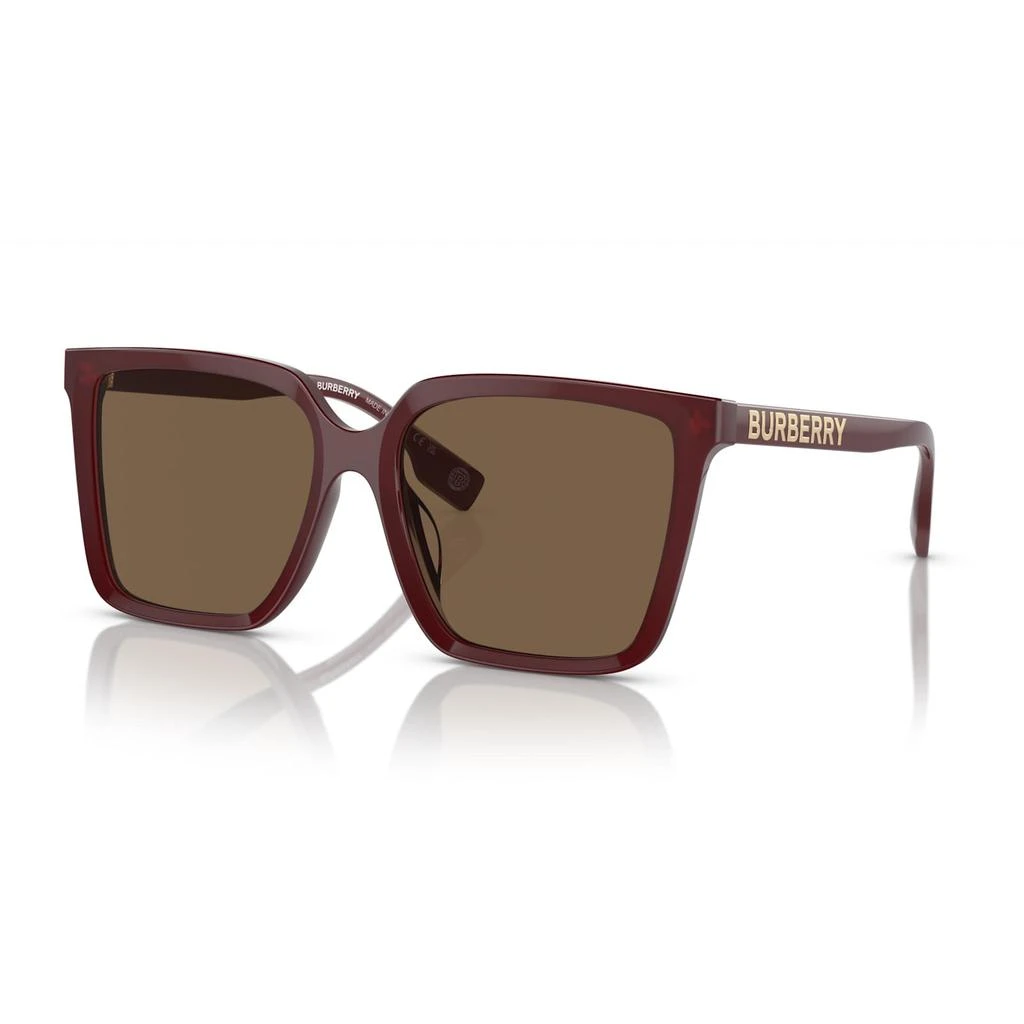 Burberry Sunglasses 2