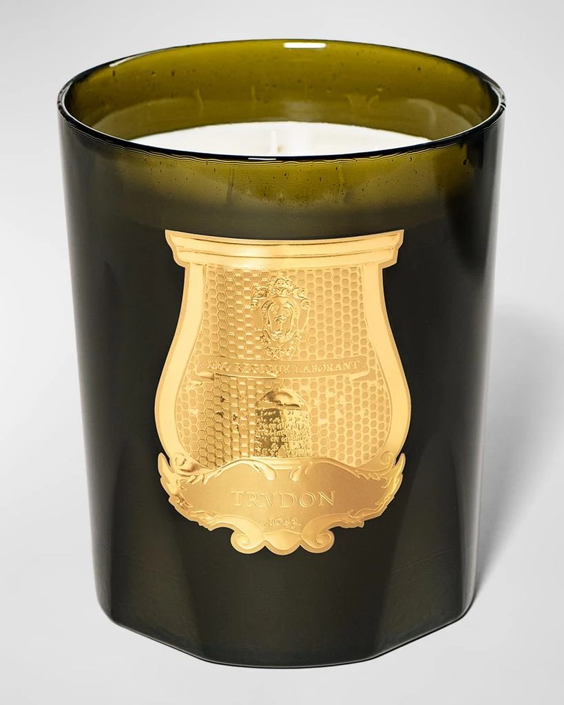 Cire Trudon Abd El Kader Grand Candle, Moroccan Mint Tea, 2.8 kg 1