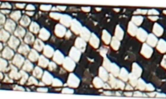 Linea Pelle Convertible Animal Print Belt 2