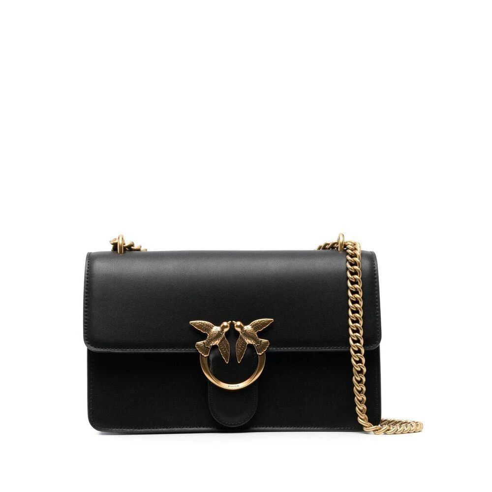 Pinko Pinko Bags 1