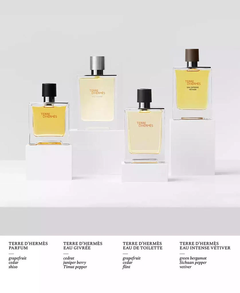 Hermes Terre d'Hermès Eau Givrée Eau de Parfum Refill, 4.2 oz. 4