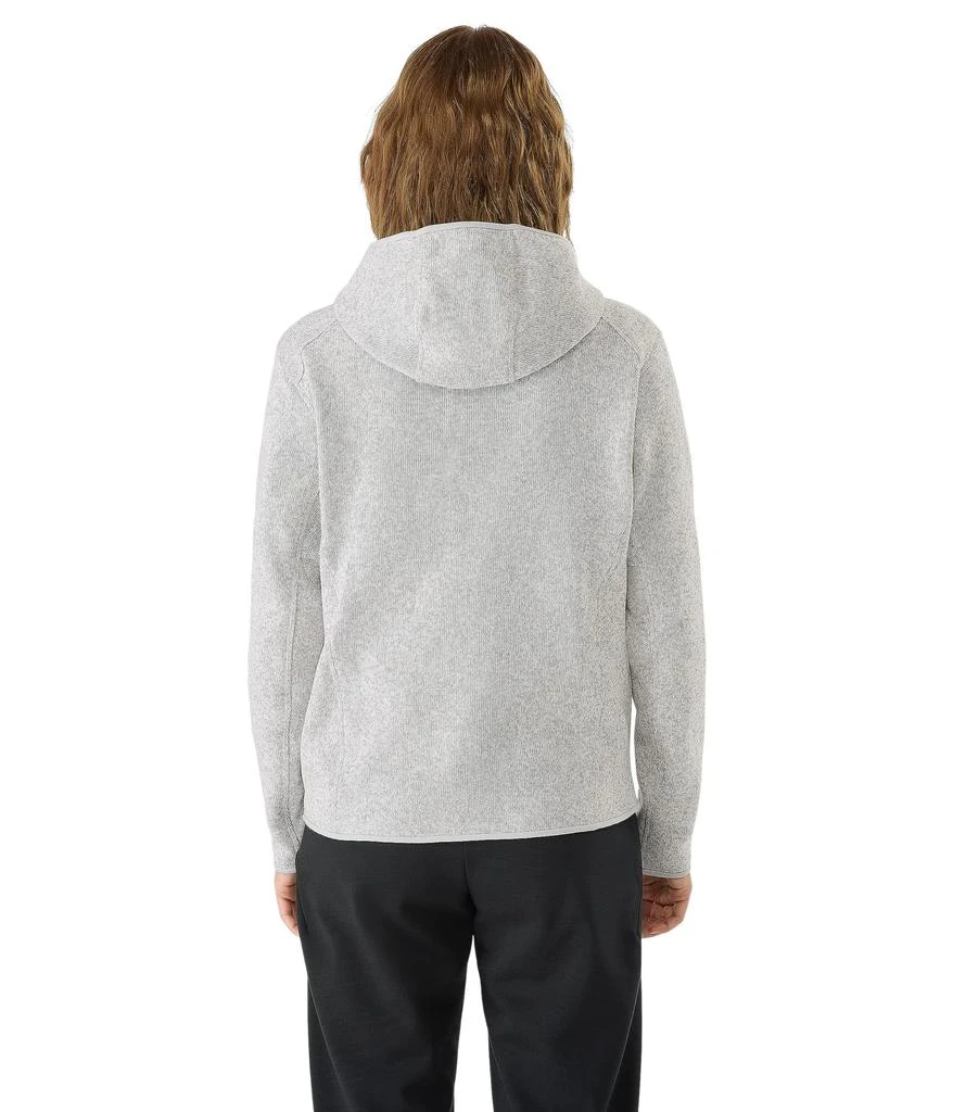 Arc'teryx Covert Pullover Hoody 2