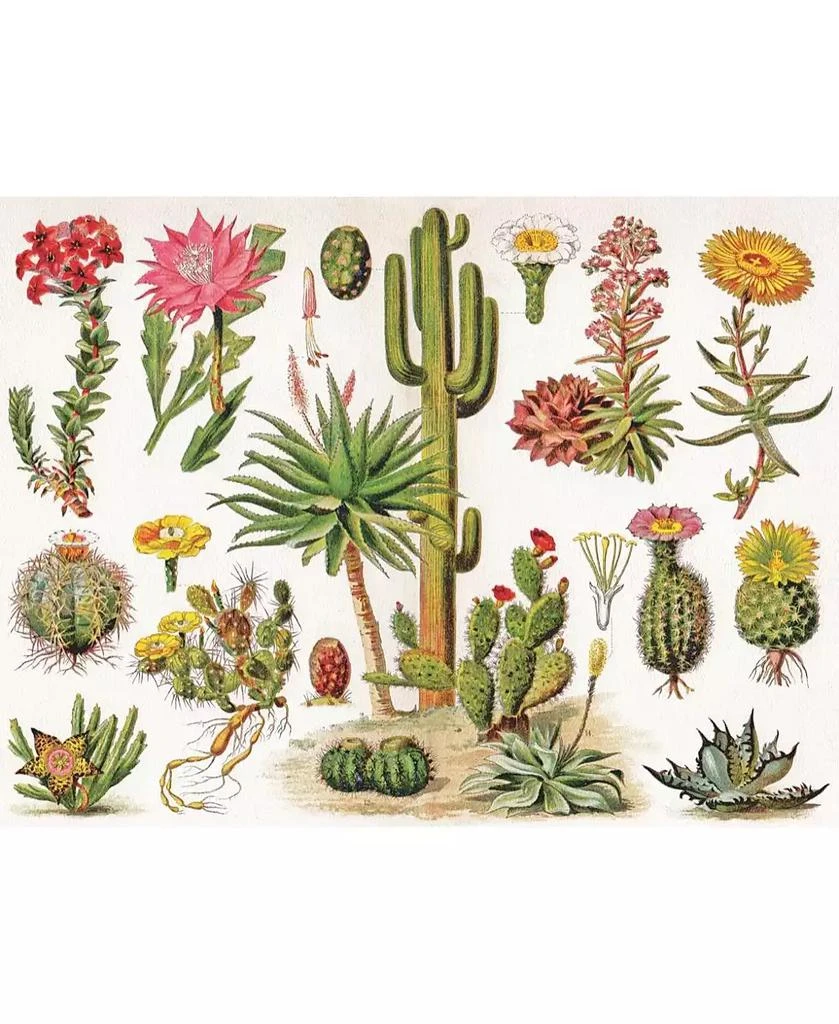 New York Puzzle Company Cacti Cactus 1000 Piece Puzzle 3