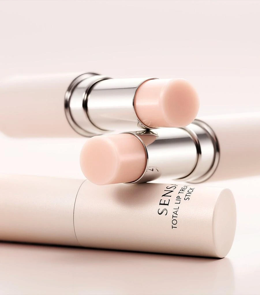 Sensai Total Lip Treatment Stick 2