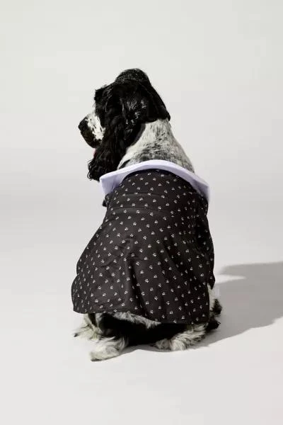 Urban Outfitters Wednesday Addams Pet Costume 5