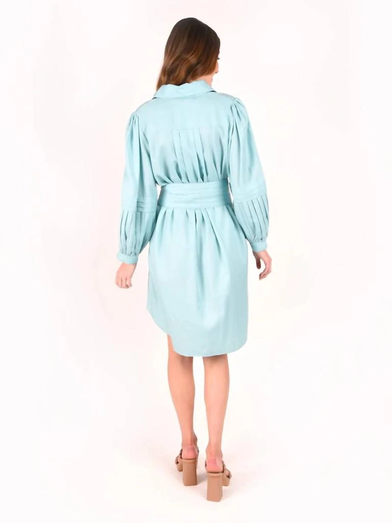 Emily McCarthy Oxford Dress In Aqua Haze 3