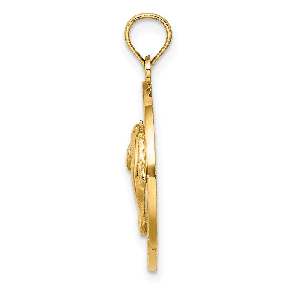 Diamond2Deal 14k Yellow Gold FLORIDA with Dolphins Circle Charm Pendant
