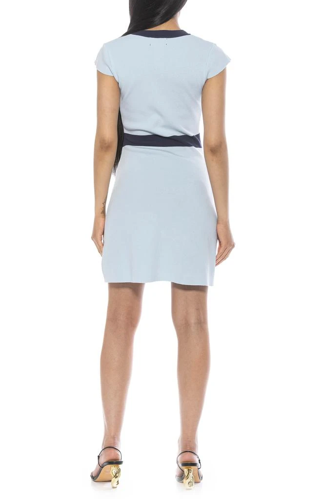 ALEXIA ADMOR Rhea Contrast Detail Knit Dress 2
