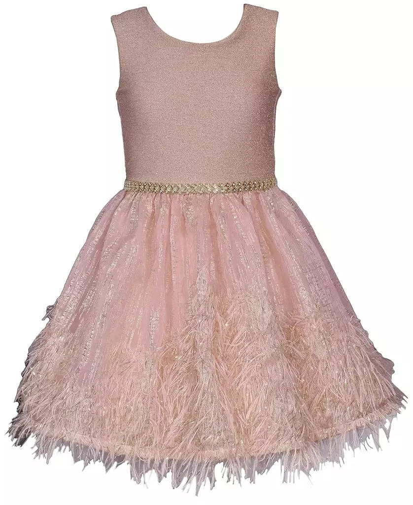 Bonnie Jean Little Girls Sparkle Knit to Feather Border Party Dress 1