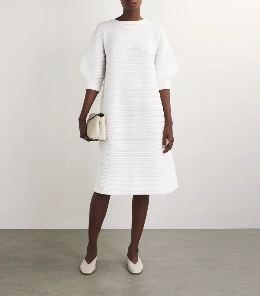 Pleats Please Pleated Mushroom Dress 2