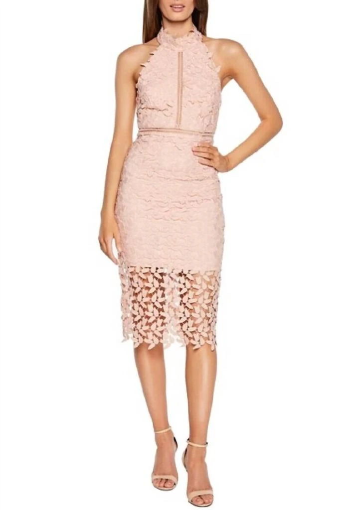 Bardot Lace Halter Gemma Latte Sleeveless Cocktail Dress In Pink 1