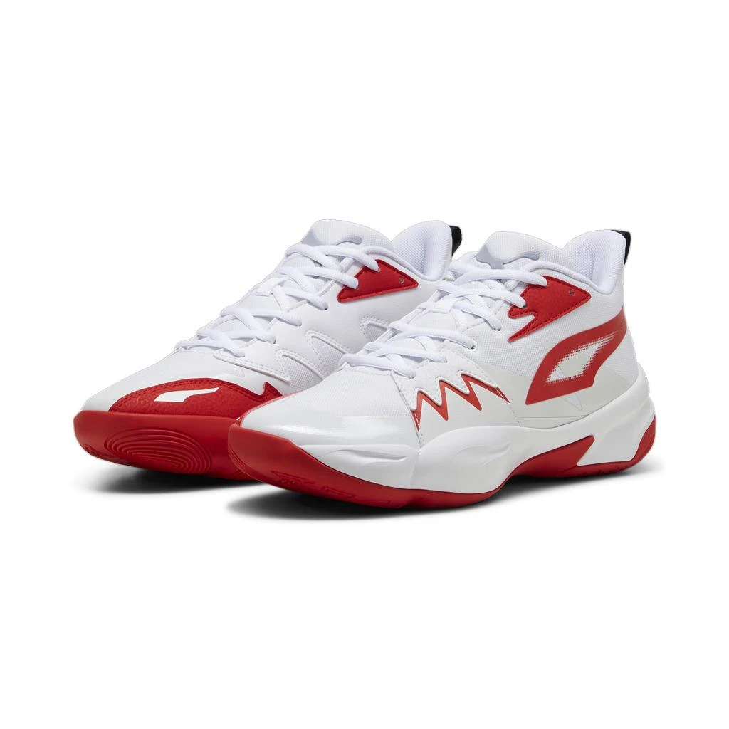 Puma Genetics 1