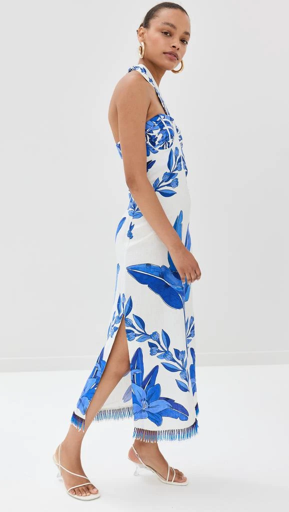 Farm Rio Blue Yard Off-White Sleeveless Maxi Dress 3
