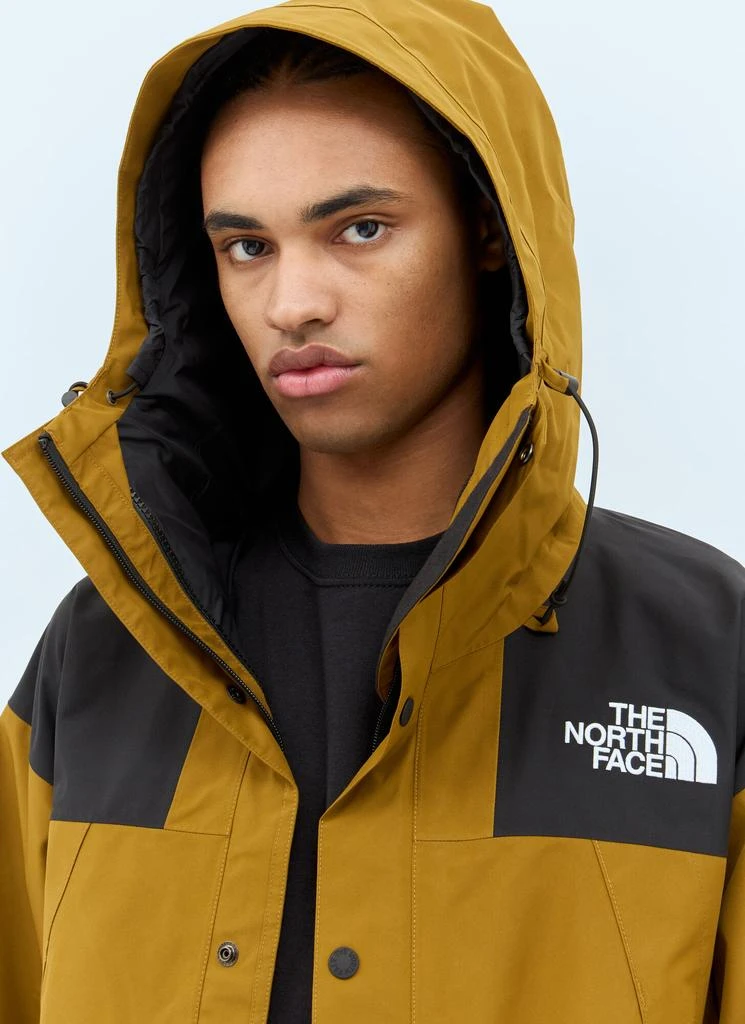 The North Face GTX Mountain Jacket 3