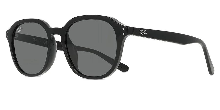 Ray-Ban Dark Grey Square Unisex Sunglasses RB4459D 901/87 54