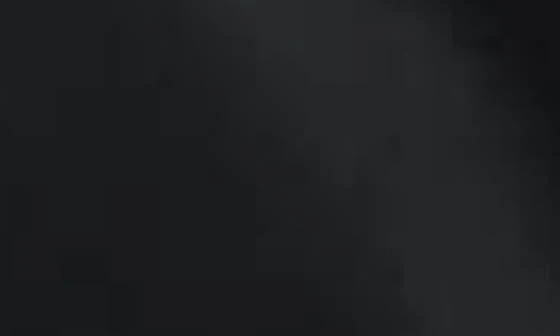 NVLT Belted Faux Leather Trench Coat 5