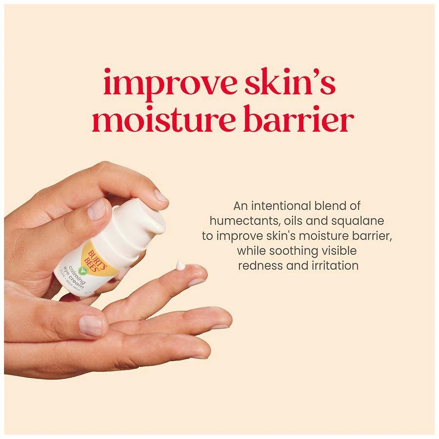 Burt's Bees Aloe + Rice Milk Calming Eye Cream for Sensitive Skin 2