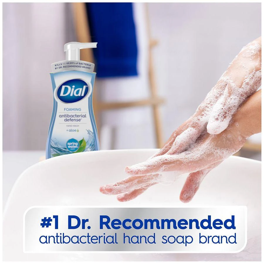 Dial Complete Antibacterial Foaming Hand Wash Spring Water 8